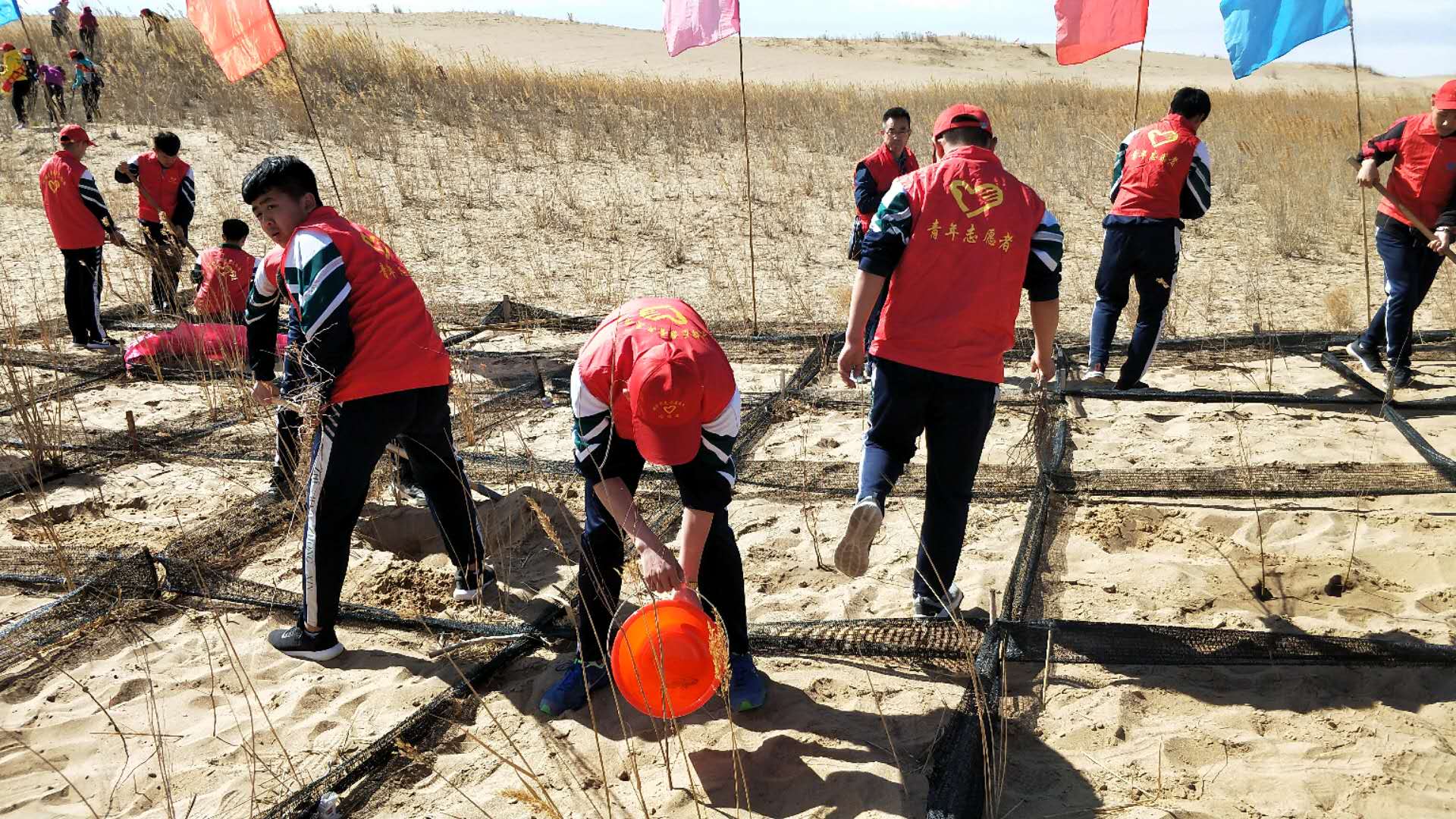 微信图片_201904121520595 - 副本.jpg