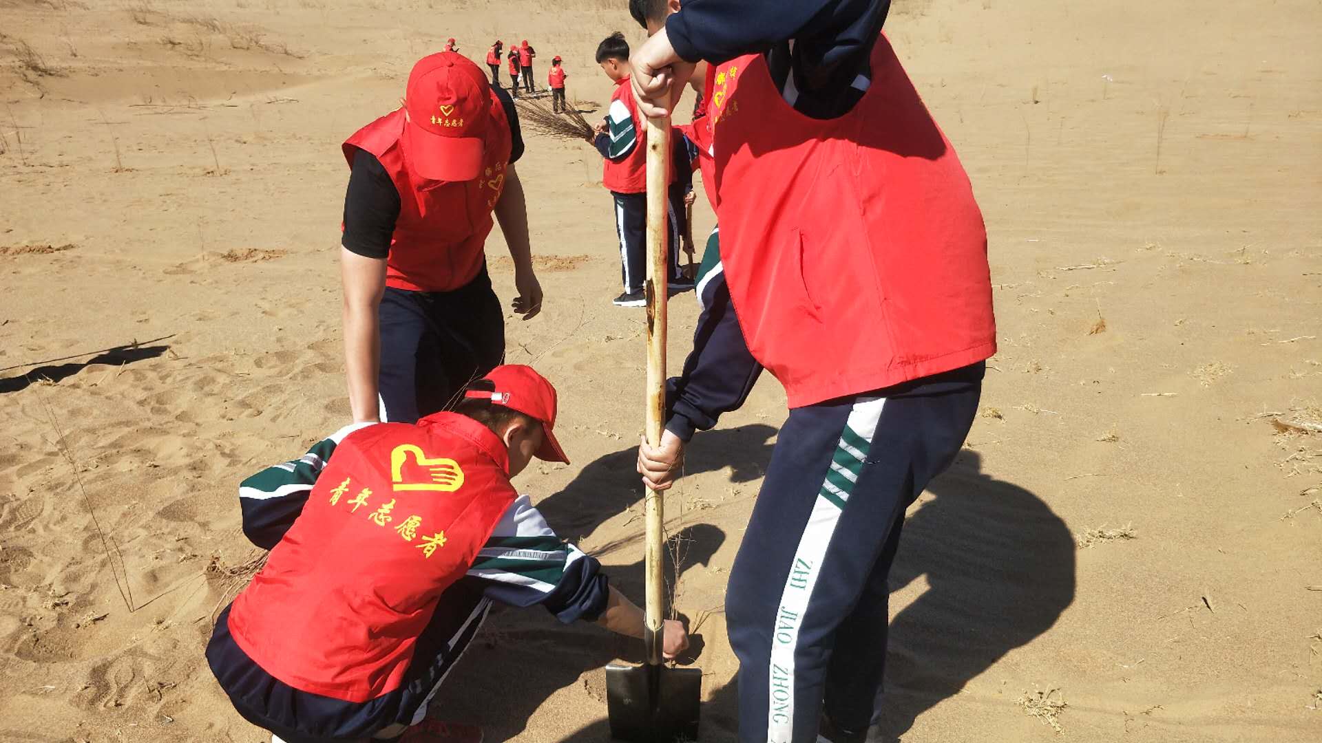 微信图片_2019041215205916 - 副本.jpg