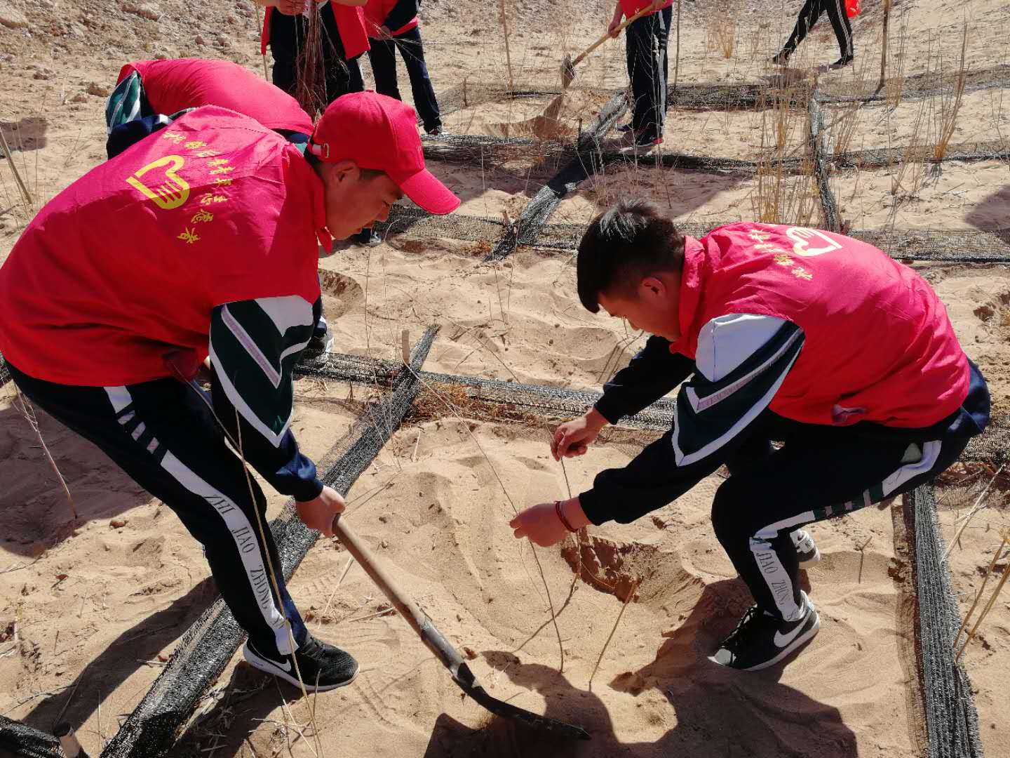 微信图片_2019041215205923 - 副本.jpg