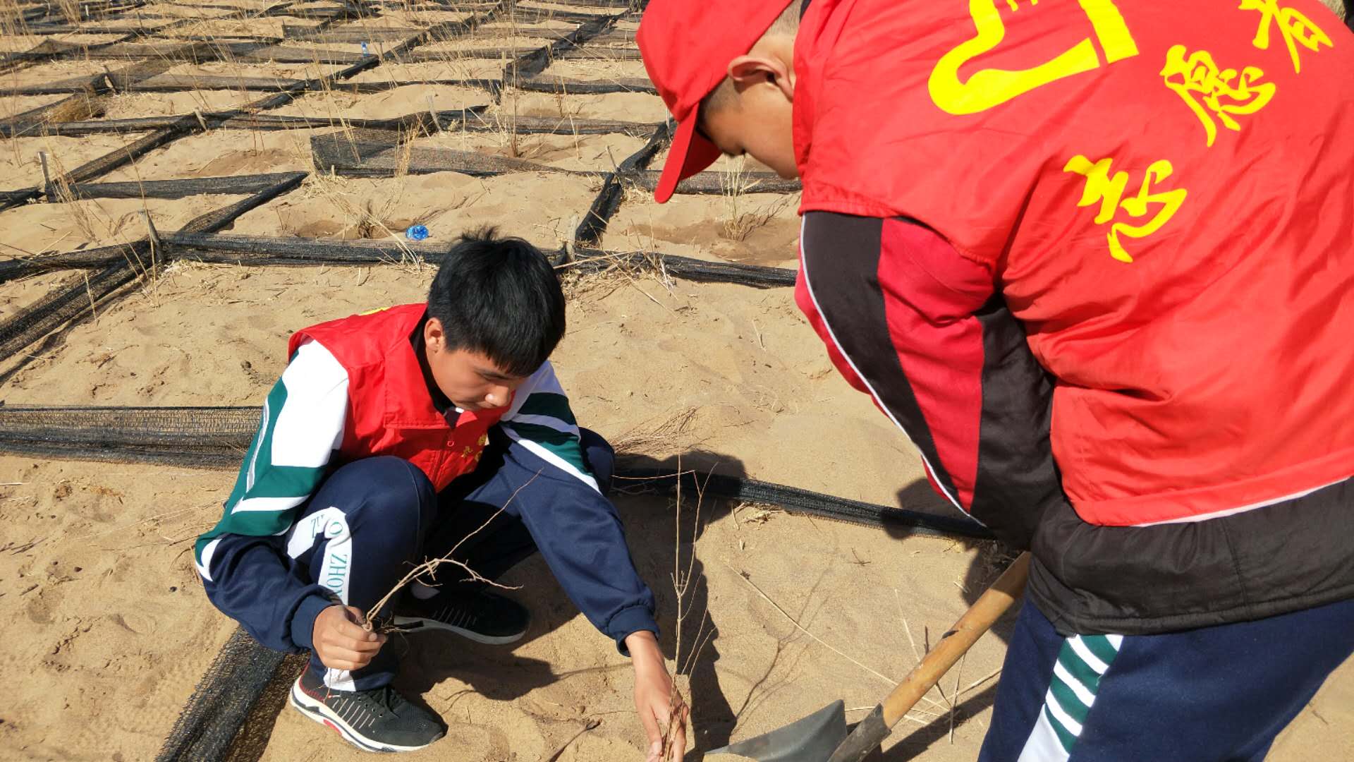 微信图片_201904121520597 - 副本.jpg