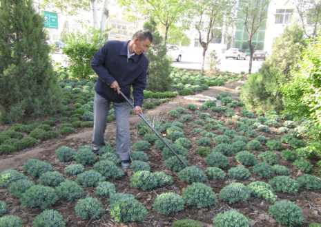 QQ图片20240524104959.png QQ图片20240524104959.png