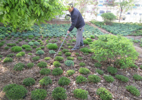 QQ图片20240524105032.png QQ图片20240524105032.png