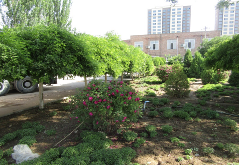 QQ图片20240524105247.png QQ图片20240524105247.png