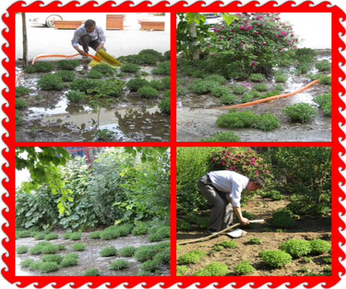 QQ图片20240524105343.png QQ图片20240524105343.png