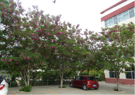 QQ图片20240524105413.png QQ图片20240524105413.png