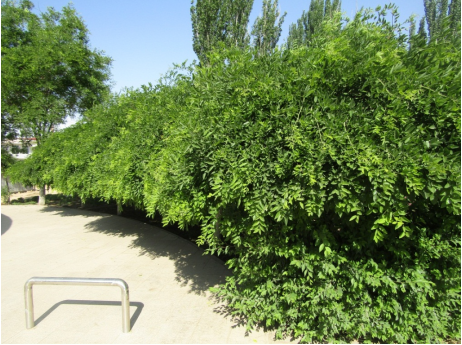 QQ图片20240524105440.png QQ图片20240524105440.png