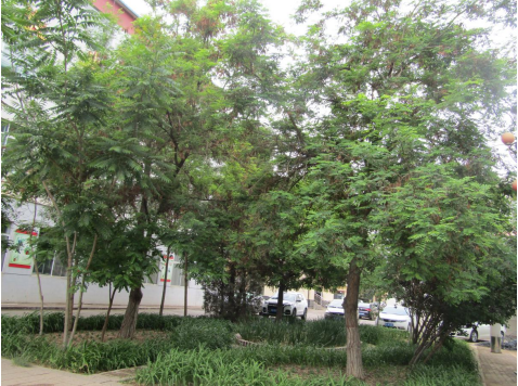 QQ图片20240524105538.png QQ图片20240524105538.png