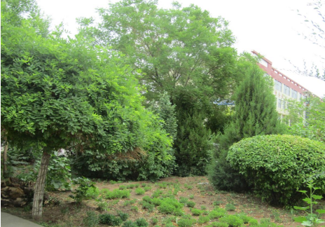 QQ图片20240524105719.png QQ图片20240524105719.png