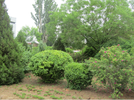 QQ图片20240524105749.png QQ图片20240524105749.png