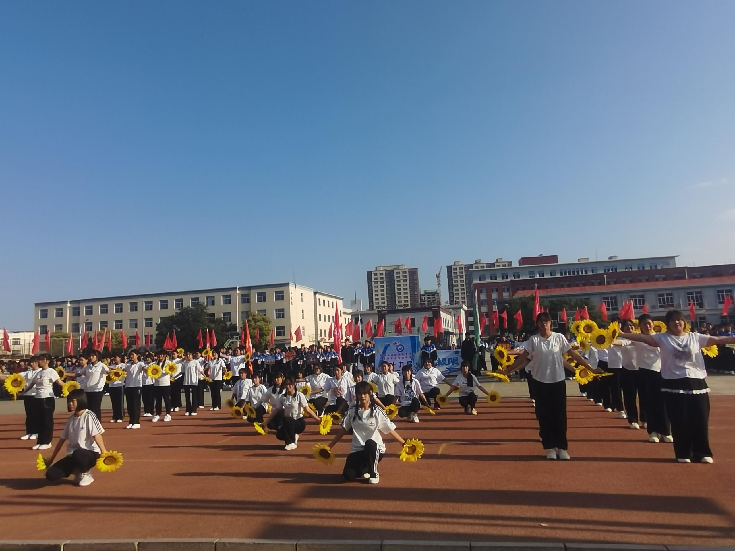 22.jpg 22.jpg